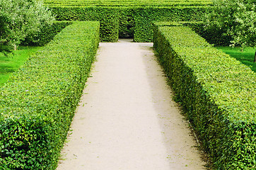 Image showing Troja Labyrinth