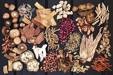 Image showing Traditional Chinese Herb Selection 