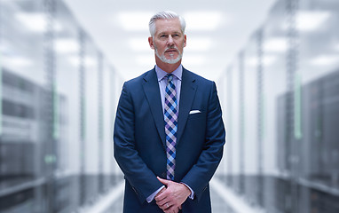 Image showing Senior businessman in server room