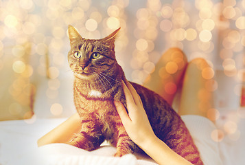 Image showing young woman with cat lying in bed at home