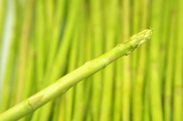 Image showing Green asparagus shoots 