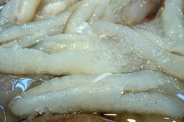 Image showing Sea cucumber selling on the market 