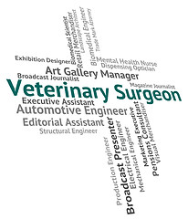 Image showing Veterinary Surgeon Indicates Career Healer And Word