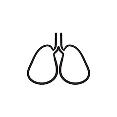 Image showing Lungs sketch icon.