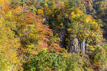 Image showing Naruko canyon in autumn