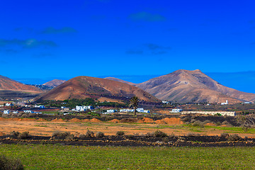 Image showing Green cultivated landscape in the valleys of Lanzarote.