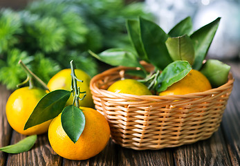 Image showing fresh tangerines