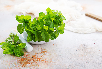 Image showing fresh mint leaf