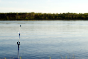 Image showing Fish Casting