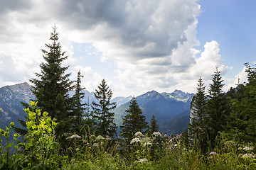 Image showing Panorama view from Bavarian Alps, Germany