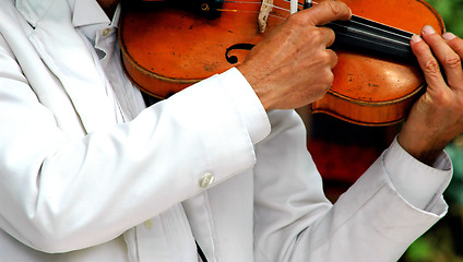 Image showing Violinist performing.