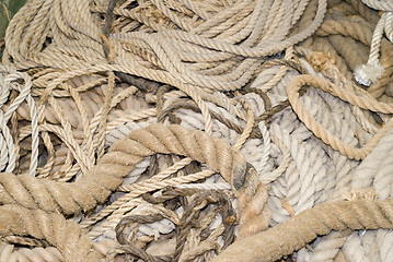 Image showing Pile of Ropes