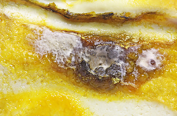 Image showing Detail of Spoiled Moldy cheese close up