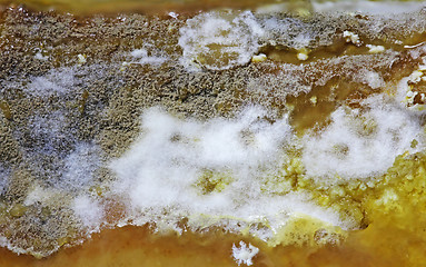 Image showing Detail of Spoiled Moldy cheese close up