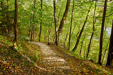 Image showing Stairway in a mountain park