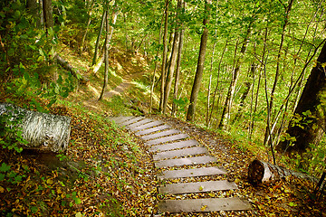 Image showing Stairway in a mountain park