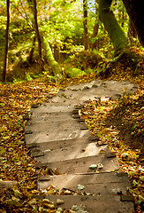 Image showing Stairway in a mountain park