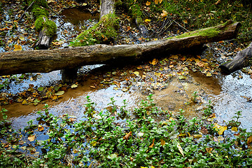 Image showing Small mountain stream