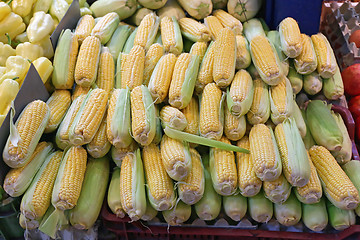 Image showing Corn Ears