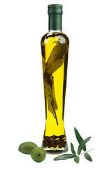Image showing Branch with olives and a bottle of olive oil with spicies isolat