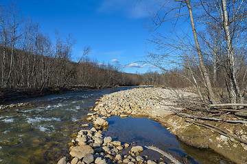 Image showing The mountain river