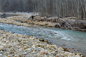 Image showing The mountain river