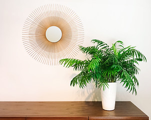 Image showing Decorative round mirror and parlor palm plant on a dresser