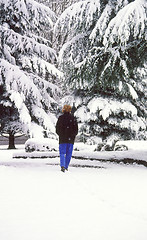 Image showing Winter snow outdoors.