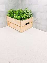 Image showing Green plant in a wooden box on kitchen countertop