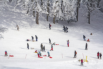 Image showing A group kids and people sledding and skiing in the snow in the w