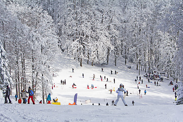 Image showing Group kids and people sledding and skiing in the snow in the win