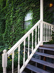 Image showing Entrance of an old house covered with green ivy