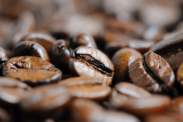 Image showing roasted coffee beans macro background