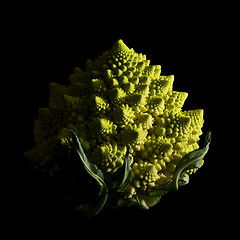 Image showing Romanesco broccoli on black background