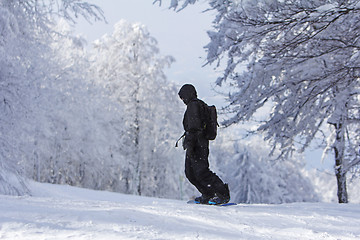 Image showing Winter sport snowboarder at ski slopeand alps mountains landscap