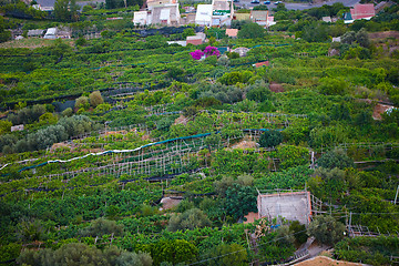 Image showing Famous Amalfi Coast view from the cliffside town of Ravello, Italy.