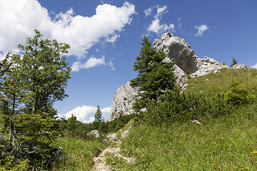 Image showing Hiking in Bavarian Alps, Germany