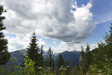 Image showing Panorama view of Bavarian Alps, Germany