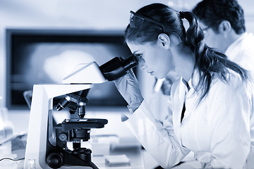 Image showing Life scientist researching in the laboratory.