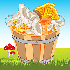 Image showing Pail with mushroom