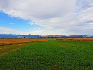 Image showing Fields and the mountains as background