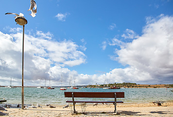 Image showing wooden bench and seagulls