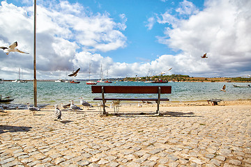 Image showing wooden bench and seagulls