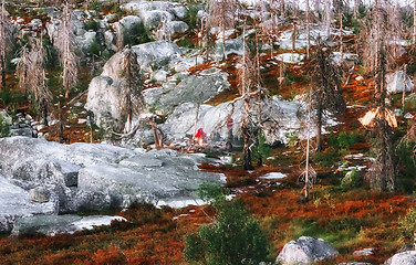 Image showing At The Top Of The Amazing Mountain Vottovaara