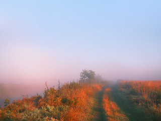 Image showing Morning Mist in the Countryside