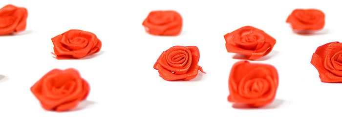 Image showing Red Roses on White