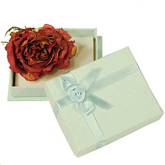 Image showing Dried Rose In Gift Box