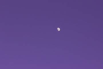 Image showing The Moon On The Purple Cloudless Sky