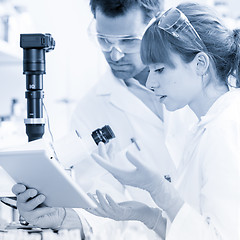 Image showing Health care researchers working in scientific laboratory.