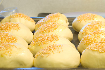 Image showing Fresh Buns with Sesame Seeds